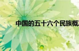 中國的五十六個民族概況（中國的五十六個民族）