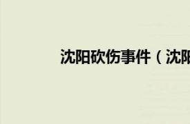 沈陽砍傷事件（沈陽女學生被砍身亡事件）