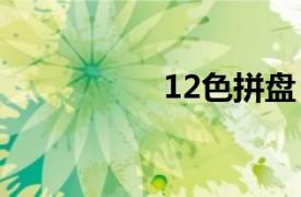 12色拼盤（看色拼盤）