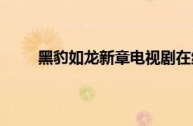 黑豹如龍新章電視劇在線(xiàn)觀看（黑豹：如龍新章）