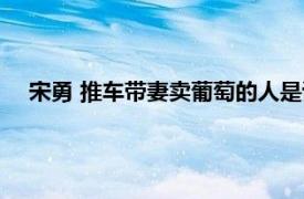 宋勇 推車帶妻賣葡萄的人是誰（宋勇 推車帶妻賣葡萄的人）