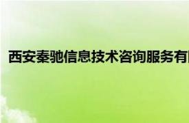 西安秦馳信息技術咨詢服務有限公司（重慶秦馳軟件有限公司）