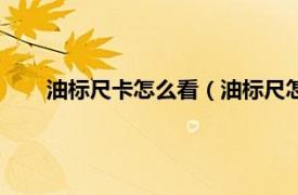 油標尺卡怎么看（油標尺怎么看刻度相關內容簡介介紹）