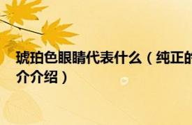 琥珀色眼睛代表什么（純正的琥珀色眼睛是什么樣的相關內容簡介介紹）
