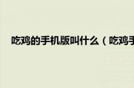 吃雞的手機(jī)版叫什么（吃雞手機(jī)版叫什么相關(guān)內(nèi)容簡(jiǎn)介介紹）