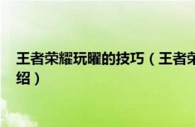 王者榮耀玩曜的技巧（王者榮耀曜的玩法是什么相關內容簡介介紹）
