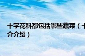 十字花科都包括哪些蔬菜（十字花科類的蔬菜有哪些相關內容簡介介紹）