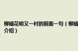柳暗花明又一村的前面一句（柳暗花明又一村的前一句是什么相關內容簡介介紹）