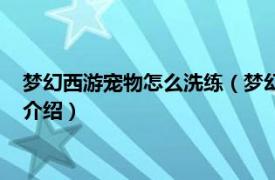 夢(mèng)幻西游寵物怎么洗練（夢(mèng)幻西游怎么給寵物洗點(diǎn)相關(guān)內(nèi)容簡(jiǎn)介介紹）