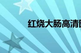 紅燒大腸高清圖片（紅燒大腸）