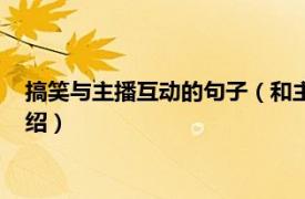 搞笑與主播互動的句子（和主播聊天的搞笑句子相關內容簡介介紹）