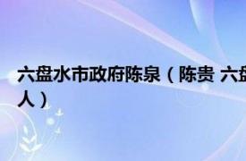 六盤水市政府陳泉（陳貴 六盤水市水城區順場鄉扶貧工作站負責人）
