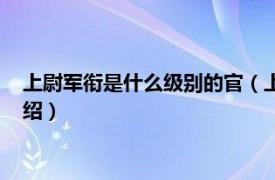 上尉軍銜是什么級別的官（上尉軍銜是什么官級相關內容簡介介紹）