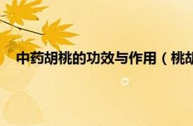 中藥胡桃的功效與作用（桃胡功效與作用相關內容簡介介紹）