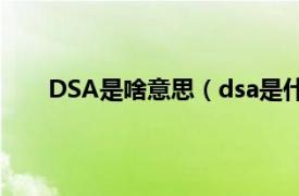 DSA是啥意思（dsa是什么意思相關內容簡介介紹）