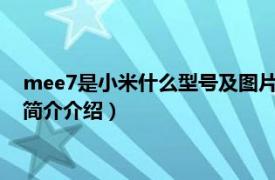 mee7是小米什么型號及圖片（mee7s是小米什么型號相關內容簡介介紹）