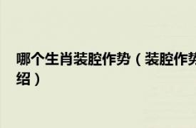 哪個生肖裝腔作勢（裝腔作勢搞動作是什么生肖相關內容簡介介紹）
