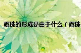 露珠的形成是由于什么（露珠是怎么形成的相關內容簡介介紹）