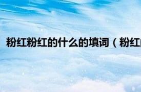粉紅粉紅的什么的填詞（粉紅的什么填詞語相關內容簡介介紹）