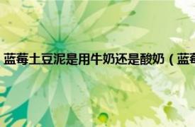 藍莓土豆泥是用牛奶還是酸奶（藍莓土豆泥怎么做好吃相關內容簡介介紹）