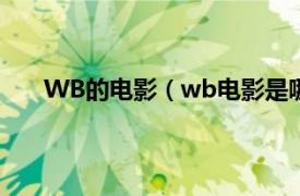 WB的電影（wb電影是哪個公司相關內容簡介介紹）