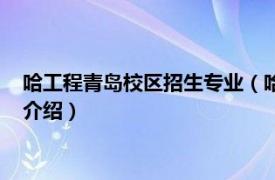 哈工程青島校區(qū)招生專業(yè)（哈工程青島校區(qū)是幾本相關內容簡介介紹）