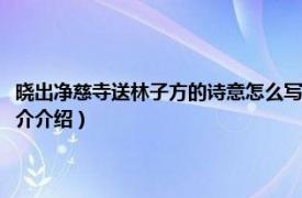 曉出凈慈寺送林子方的詩意怎么寫（曉出凈慈寺送林子方的詩意相關內容簡介介紹）