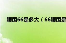 腰圍66是多大（66腰圍是多少尺寸相關(guān)內(nèi)容簡(jiǎn)介介紹）