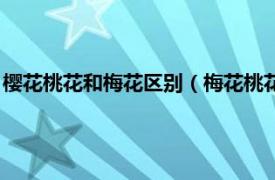 櫻花桃花和梅花區別（梅花桃花櫻花怎樣區別相關內容簡介介紹）