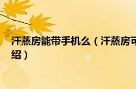 汗蒸房能帶手機么（汗蒸房可以帶手機進去玩嗎相關內容簡介介紹）