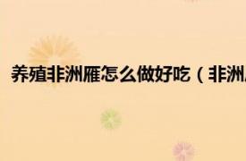 養殖非洲雁怎么做好吃（非洲雁怎么做好吃相關內容簡介介紹）