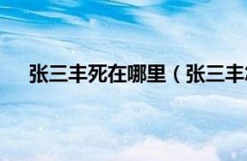 張三豐死在哪里（張三豐怎么死的相關(guān)內(nèi)容簡(jiǎn)介介紹）