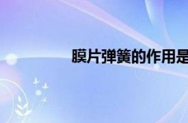 膜片彈簧的作用是什么？相關內容簡介