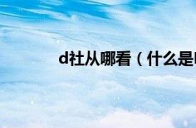 d社從哪看（什么是D社相關內容簡介介紹）