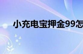 小充電寶押金99怎么退？相關內容簡介