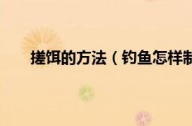 搓餌的方法（釣魚怎樣制作搓餌相關內容簡介介紹）