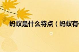 螞蟻是什么特點（螞蟻有什么特點相關內容簡介介紹）