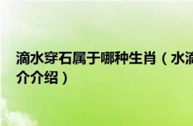 滴水穿石屬于哪種生肖（水滴石穿的生肖是什么動(dòng)物相關(guān)內(nèi)容簡(jiǎn)介介紹）