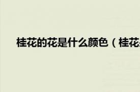 桂花的花是什么顏色（桂花是什么顏色相關(guān)內(nèi)容簡(jiǎn)介介紹）