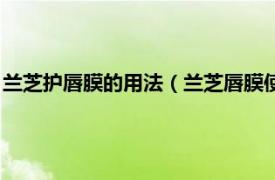 蘭芝護(hù)唇膜的用法（蘭芝唇膜使用的正確方法相關(guān)內(nèi)容簡(jiǎn)介介紹）