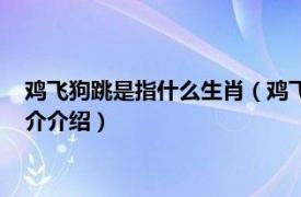 雞飛狗跳是指什么生肖（雞飛狗跳的動物是什么生肖相關內容簡介介紹）