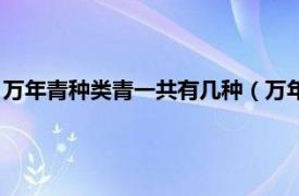萬年青種類青一共有幾種（萬年青一共有幾種相關內容簡介介紹）