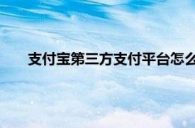支付寶第三方支付平臺怎么用（支付寶 第三方支付平臺）