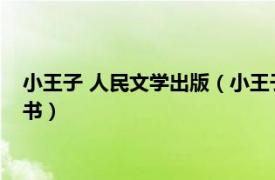 小王子 人民文學出版（小王子 2015年江蘇人民出版社出版的圖書）