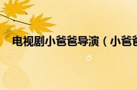 電視劇小爸爸導(dǎo)演（小爸爸 2013年文章執(zhí)導(dǎo)的電視劇）