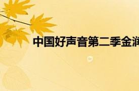 中國好聲音第二季金潤吉（中國好聲音第二季）