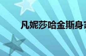凡妮莎哈金斯身家（凡妮莎哈金斯）
