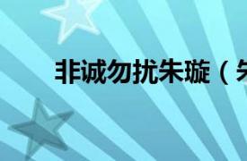 非誠勿擾朱璇（朱珠 非誠勿擾朱珠）