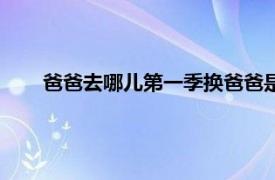 爸爸去哪兒第一季換爸爸是哪一期（爸爸去哪兒第一季）