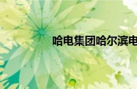 哈電集團哈爾濱電站閥門有限公司待遇